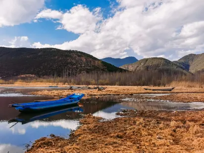 Casilando Casino Application mobile